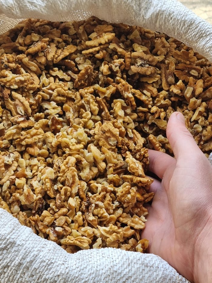 Cerneaux de noix du Perigord prets pour le pressage a facon