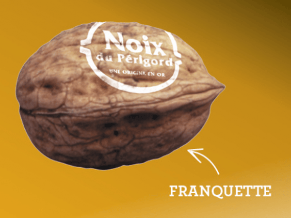 Noix du Périgord - variété Franquette