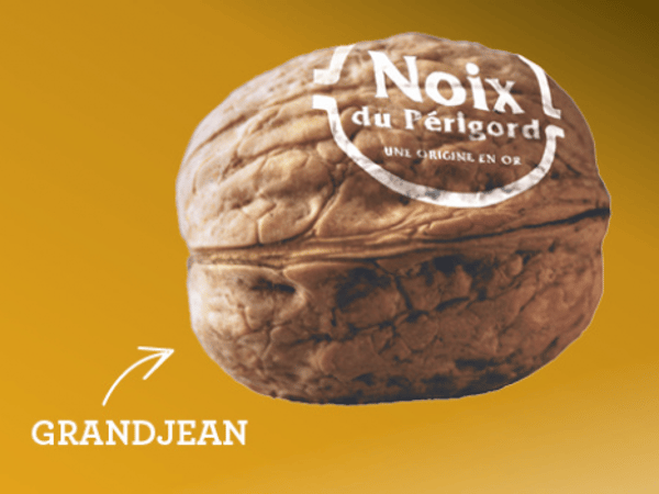 Noix du Périgord - variété Grandjean